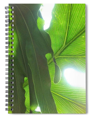 Drawn to the Sun - Spiral Notebook