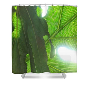 Drawn to the Sun - Shower Curtain
