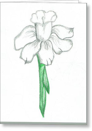 Flower Pencil Sketch - Selective Color - Greeting Card