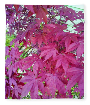 Japanese Maple Leaves - Blanket
