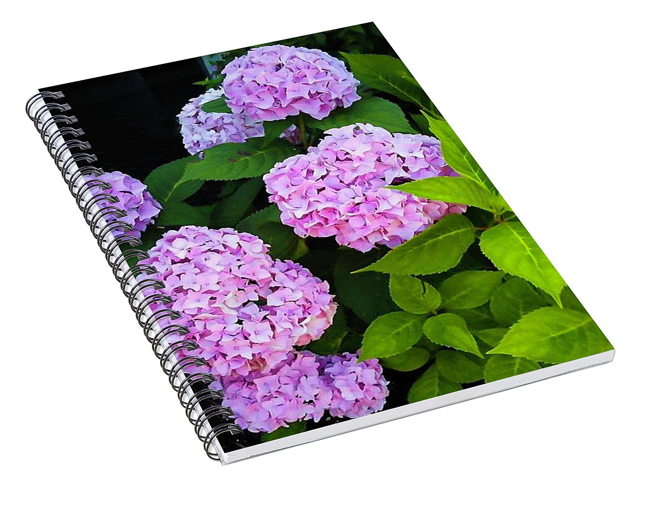Martha's Vineyard Hydrangeas 2 - Spiral Notebook