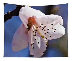 Peach Tree Blossom - Tapestry