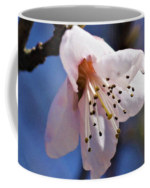 Peach Tree Blossom - Mug