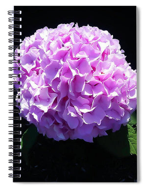 Pink Hydrangea - Spiral Notebook