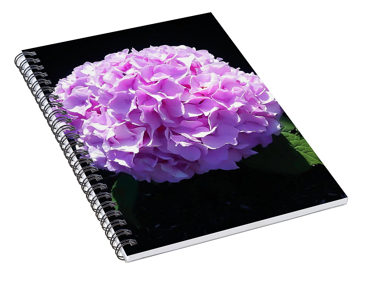 Pink Hydrangea - Spiral Notebook
