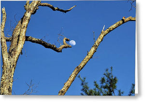 Plucked from the Sky - Greeting Card