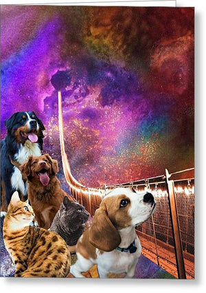Rainbow Bridge - Cats and Dogs - Greeting Card
