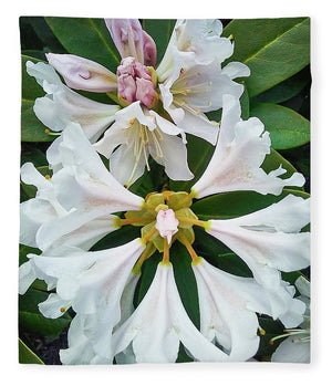Rhododendron Flowers - Blanket