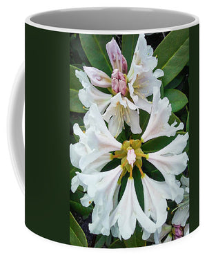 Rhododendron Flowers - Mug