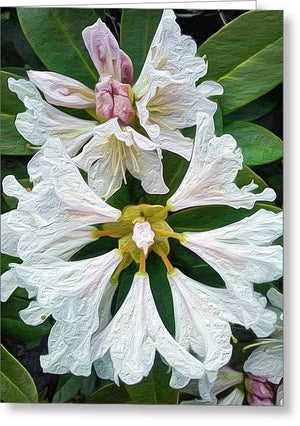 Rhododendron Flowers - Stylized - Greeting Card