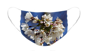 Weeping Cherry Blossom - Face Mask