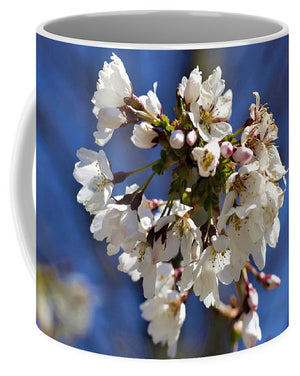 Weeping Cherry Blossom - Mug