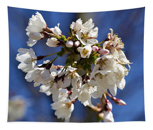 Weeping Cherry Blossom - Tapestry